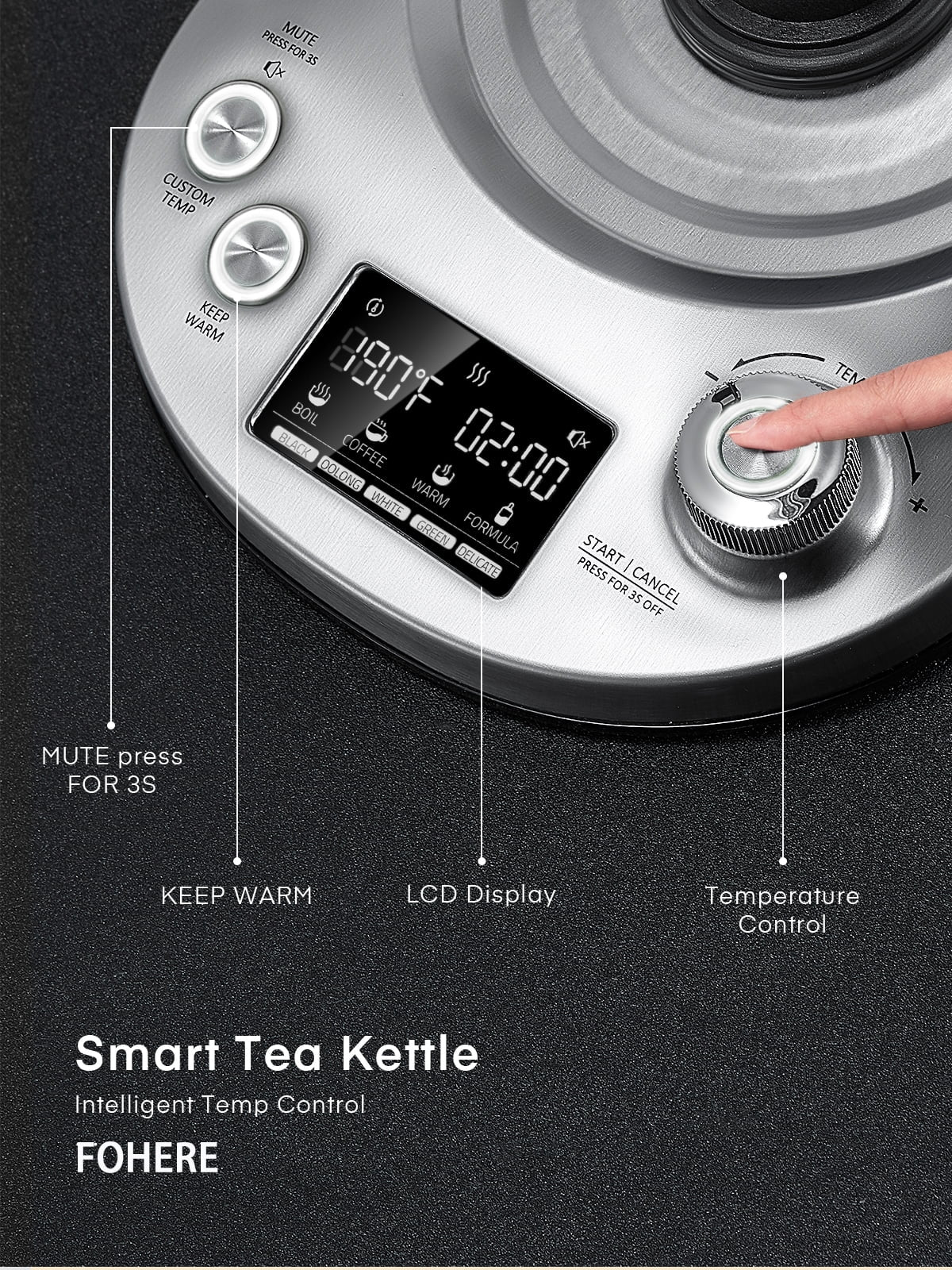 Essentials Electric Tea Kettle, Electric Kettle Temperature Control with 9 Presets